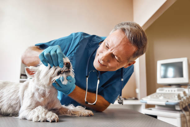 Best Walk-In Emergency Dental Services in Salina, KS